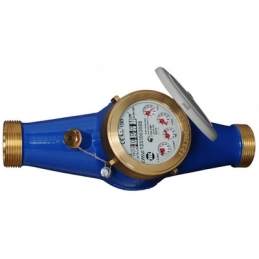 Contatore Per Acqua A Getto Multiplo Con Rulli Protetti Cms - 2" 352-916-09