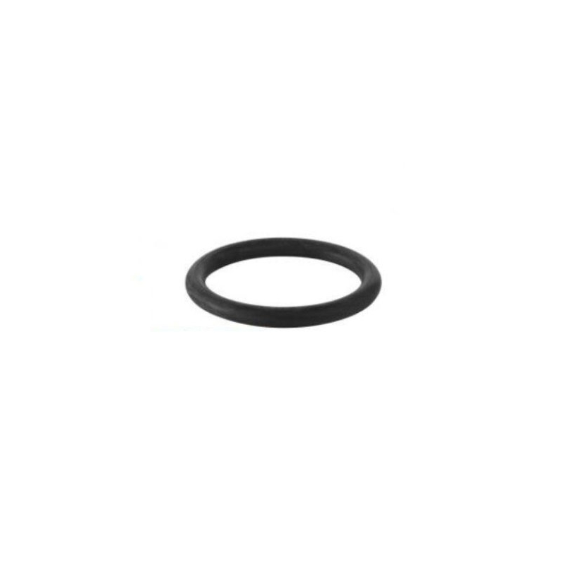 Guarnizione Per Codulo Per Sigma 8 - - 133-G892975-001