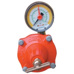 Regolatore Gpl Di Alta Pressione Con Manometro Mod. Apz12 - Kg. / H 12-18 421-640