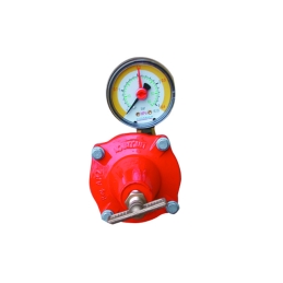 Regolatore Gpl Di Alta Pressione Con Manometro Mod. Apz12 - Kg. / H 12-18 421-640