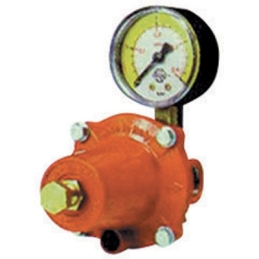 Regolatore Gpl Di Alta Pressione Con Manometro Mod. Apz250 - Kg. / H 30 421-641