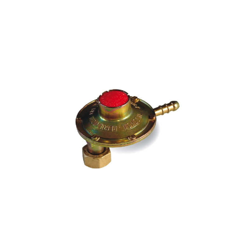 Regolatore Bassa Pressione Con Attacco Verticale - 1 Kg/h 421-F065