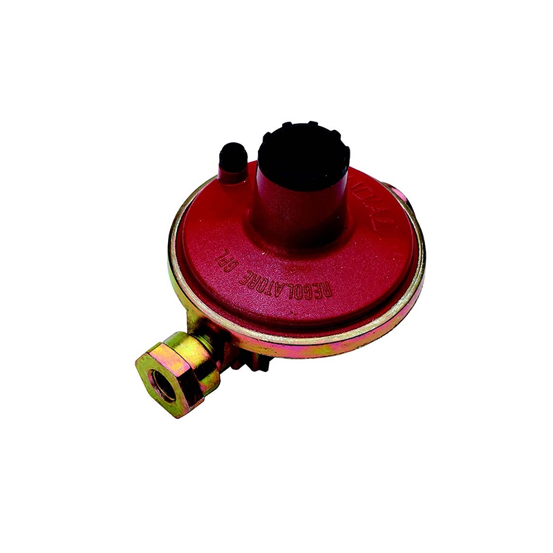 Regolatore Bassa Pressione 10 Kg/h - 30 Mbar 421-F300