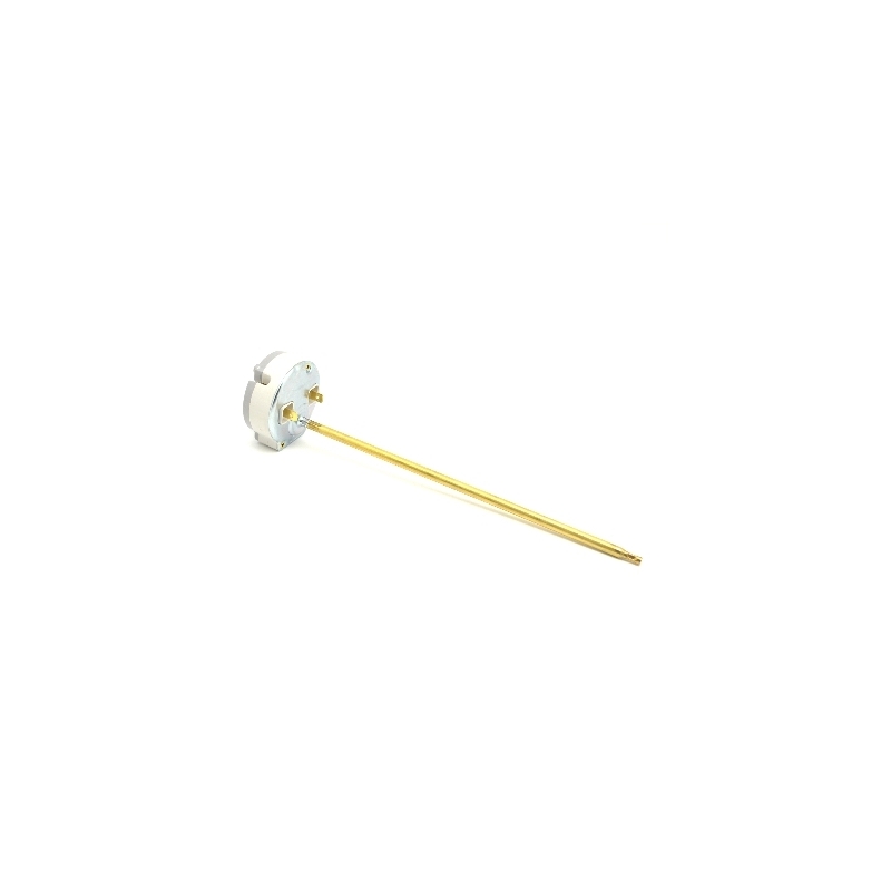 Termostato Elettrico P/art. 401-x030v-02 - - 401-XR65114891