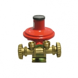 Mini Centralina Con Regolatore 2205 Senza Manichette - Kg./ H 10 420-542
