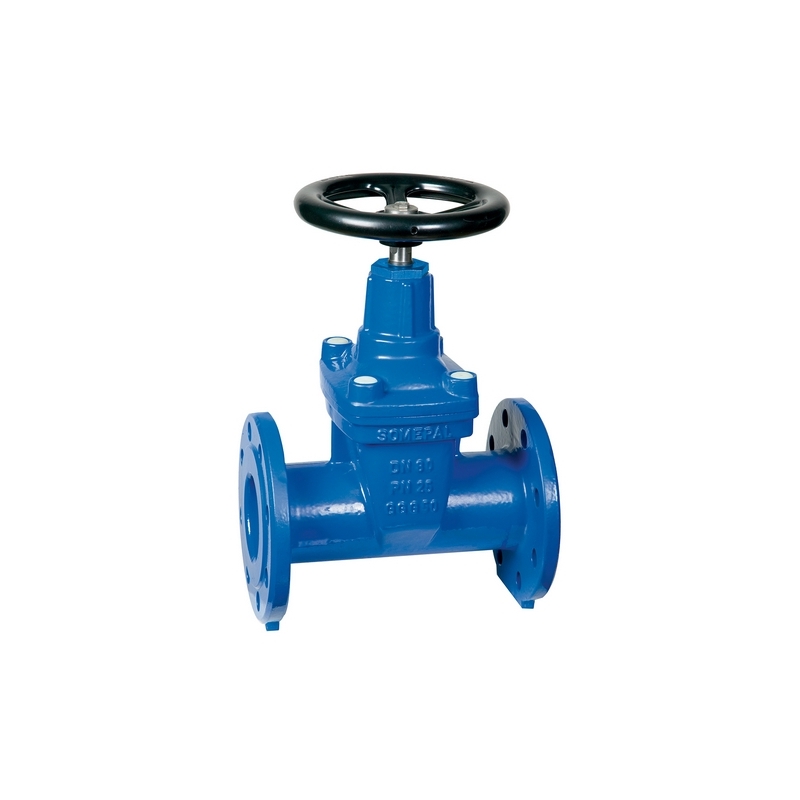 Saracinesca Corpo Ovale - Dn 80 Pn 25 354-253-080