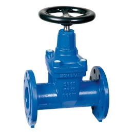 Saracinesca Corpo Ovale - Dn 100 Pn 25 354-253-100