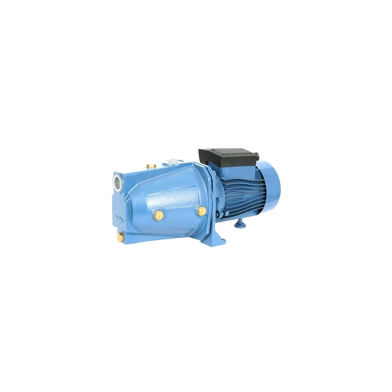Elettropompa Autoadescante Mod. Jet - Kw 0,75 356-CJET-100L
